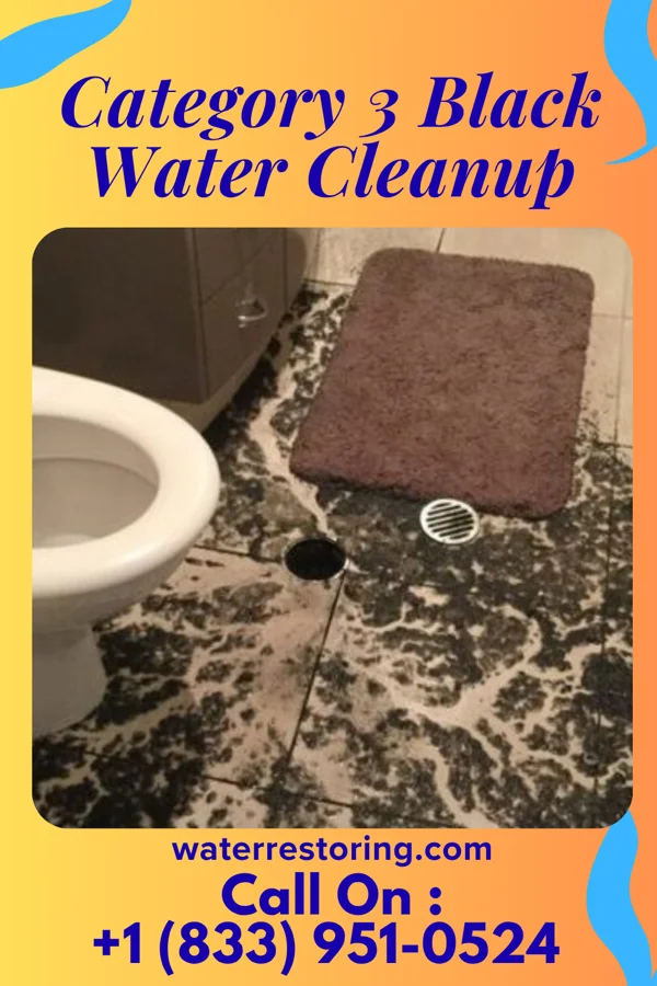 Category 3 Black Water Cleanup in Elmo, MO